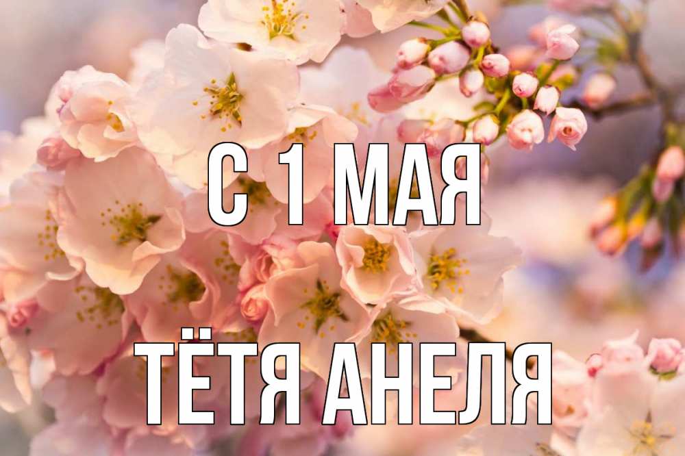 Открытка на каждый день с именем, Тётя-Анеля С 1 мая С 1 мая Прикольная открытка с пожеланием онлайн скачать бесплатно 