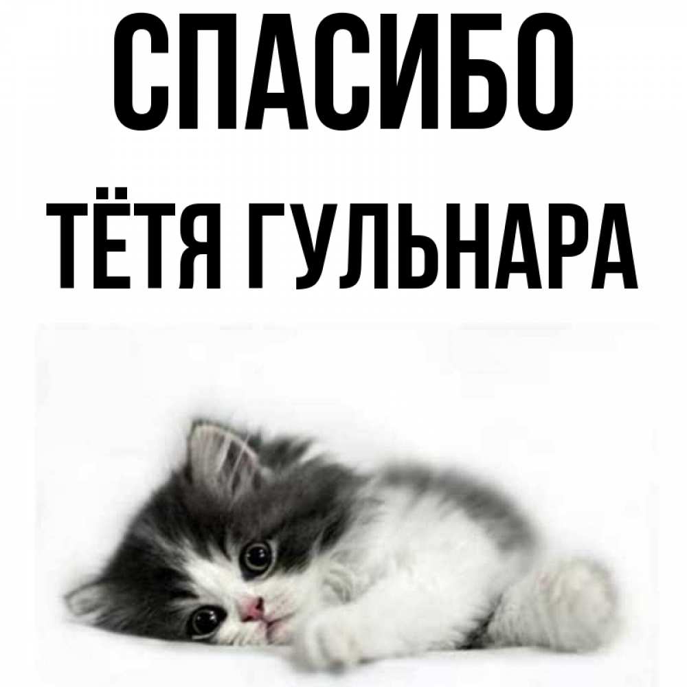 Открытка на каждый день с именем, Тётя-Гульнара Спасибо черный и белый кот Прикольная открытка с пожеланием онлайн скачать бесплатно 