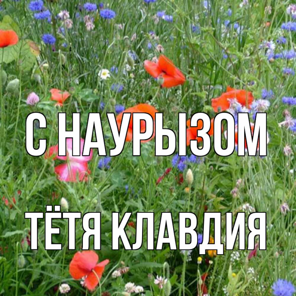 Открытка на каждый день с именем, Тётя-Клавдия С наурызом праздник весны наурыз супер открытка Прикольная открытка с пожеланием онлайн скачать бесплатно 