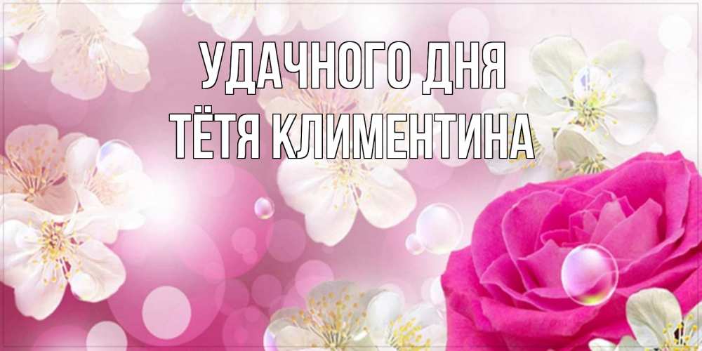 Открытка на каждый день с именем, Тётя-Климентина Удачного дня красивые цветы Прикольная открытка с пожеланием онлайн скачать бесплатно 