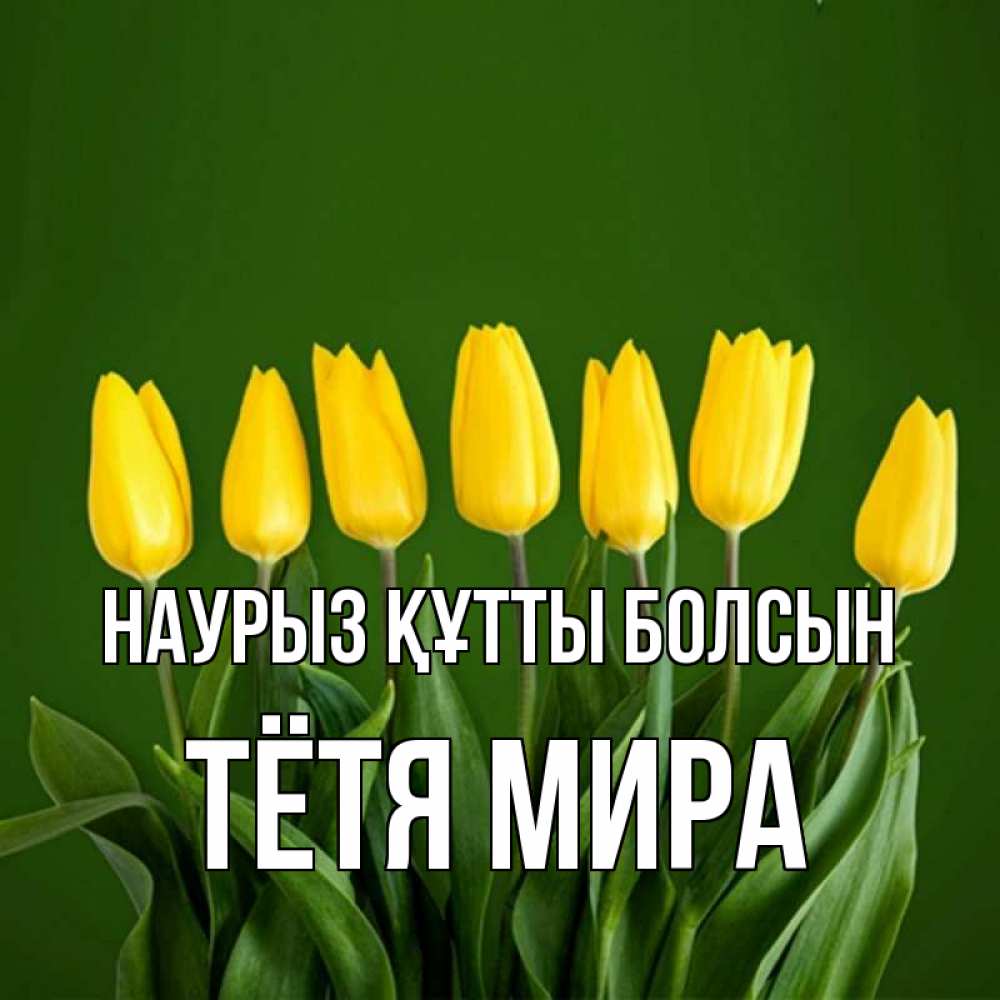 Открытка на каждый день с именем, Тётя-Мира Наурыз құтты болсын желтого цвета 3 Прикольная открытка с пожеланием онлайн скачать бесплатно 