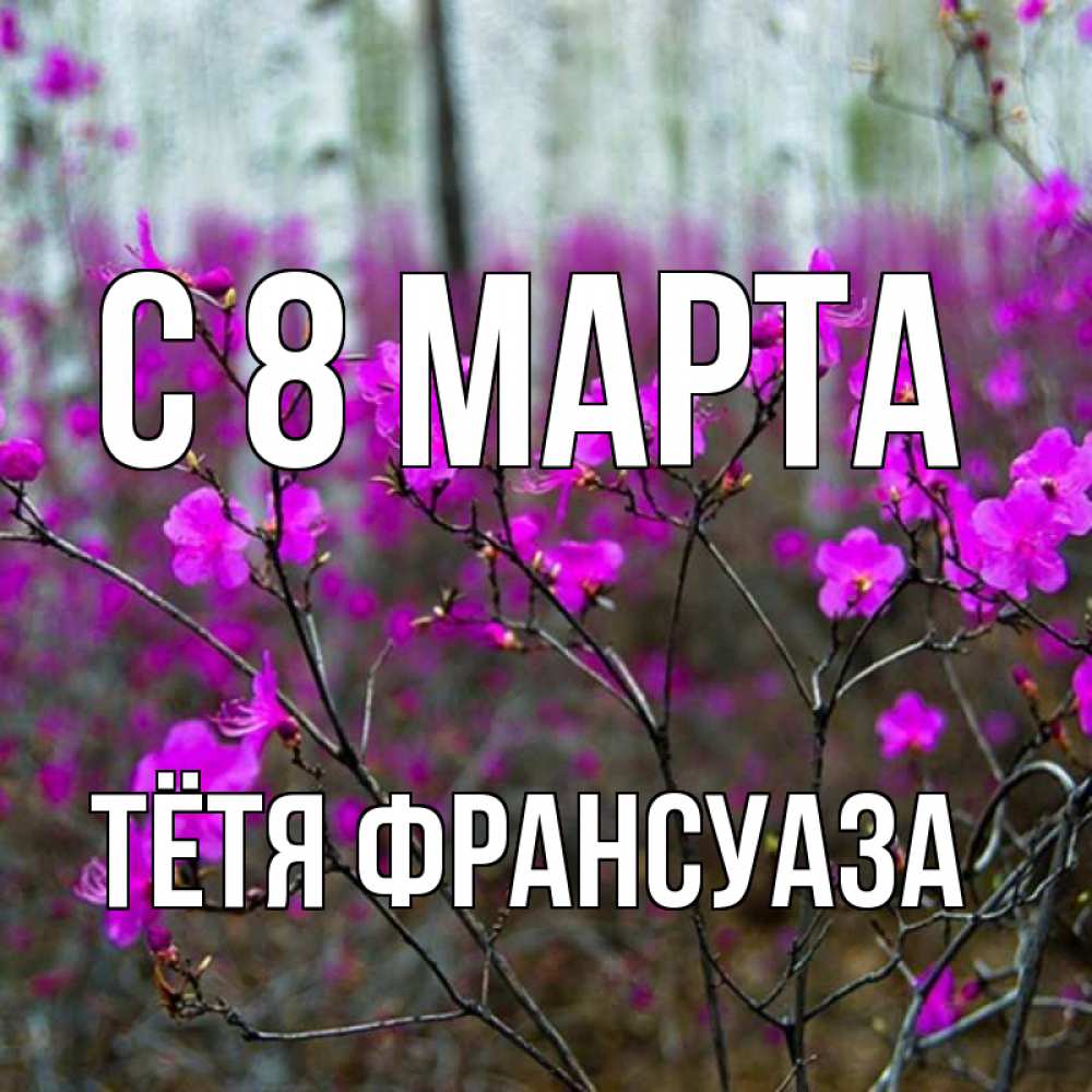 Открытка на каждый день с именем, Тётя-Франсуаза С 8 МАРТА дикие цветы Прикольная открытка с пожеланием онлайн скачать бесплатно 