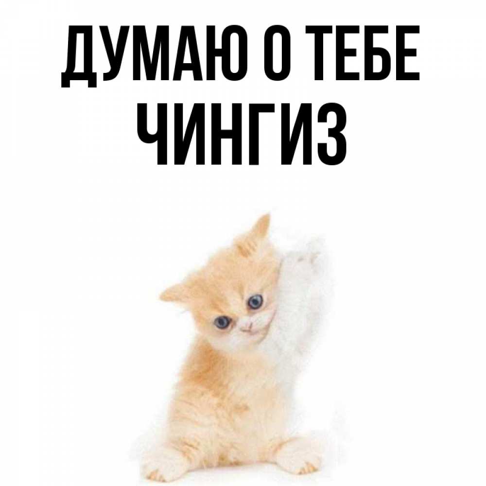 Открытка на каждый день с именем, Чингиз Думаю о тебе зверушки и милота Прикольная открытка с пожеланием онлайн скачать бесплатно 