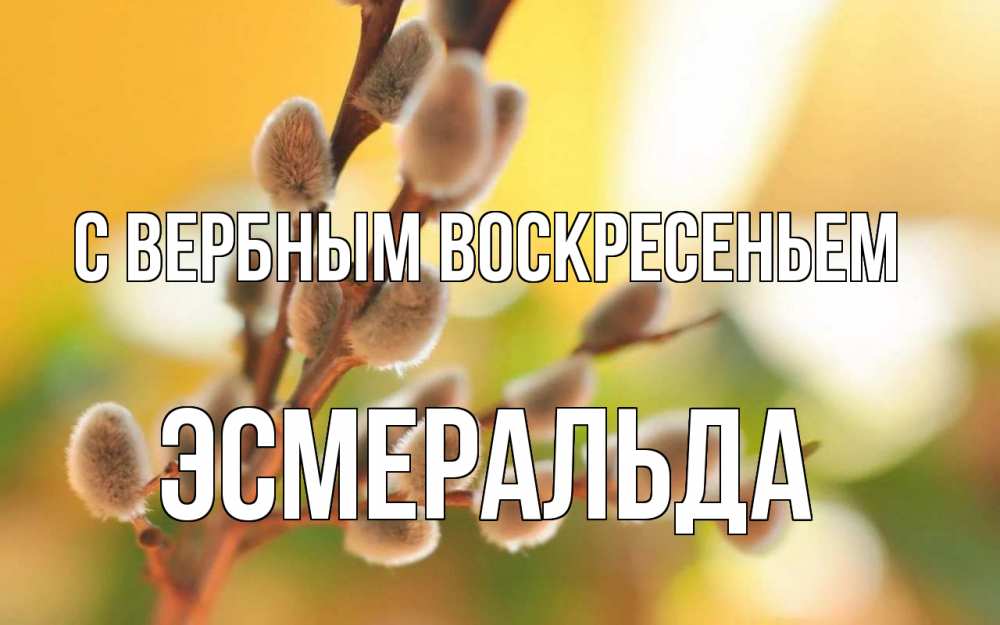 Открытка на каждый день с именем, Эсмеральда С вербным воскресеньем верба Прикольная открытка с пожеланием онлайн скачать бесплатно 