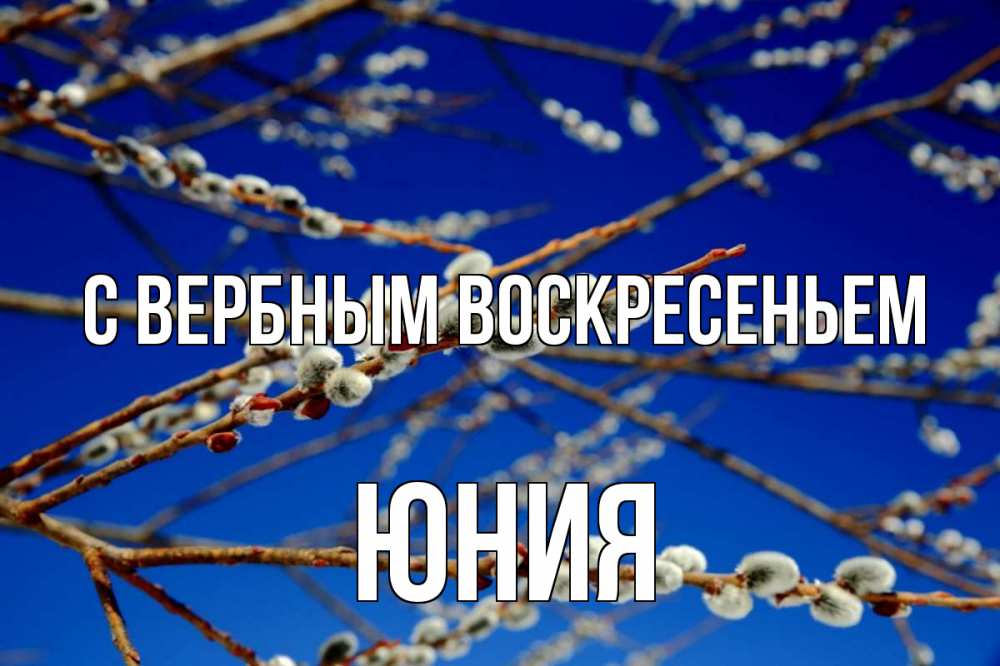 Открытка на каждый день с именем, Юния С вербным воскресеньем верба Прикольная открытка с пожеланием онлайн скачать бесплатно 
