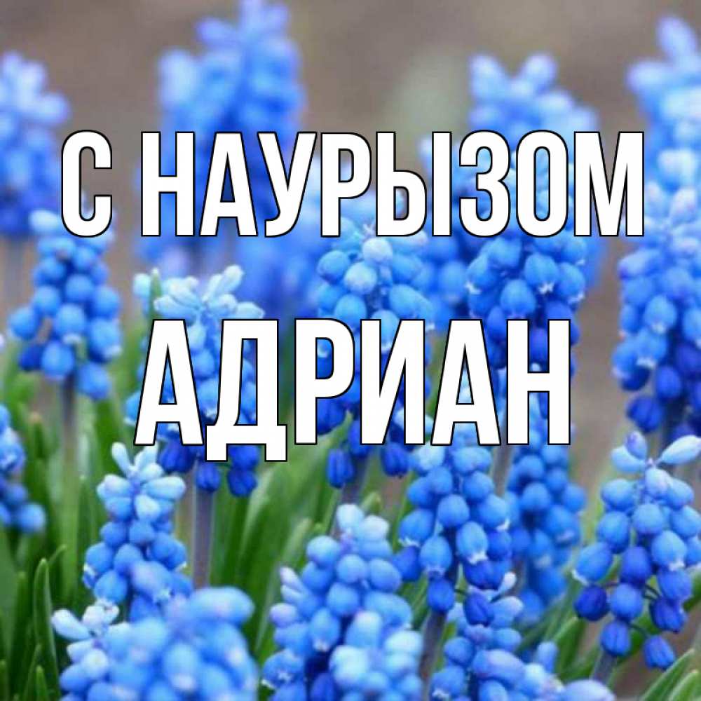 Открытка на каждый день с именем, Адриан С наурызом Поздравительная открытка для женщин с цветами на праздничную дату Прикольная открытка с пожеланием онлайн скачать бесплатно 