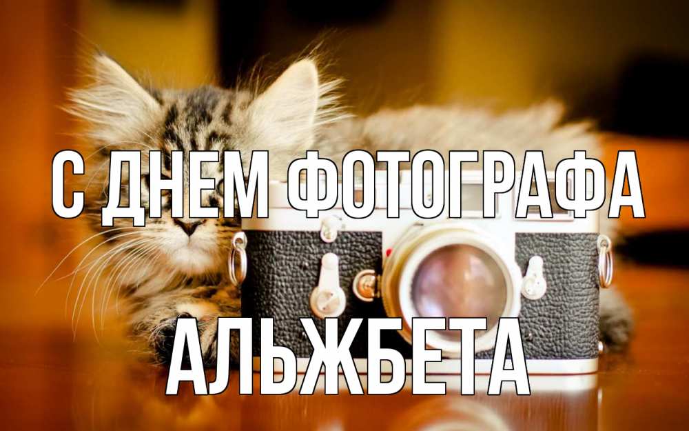 Открытка на каждый день с именем, Альжбета С днем фотографа с днем фотографа Прикольная открытка с пожеланием онлайн скачать бесплатно 