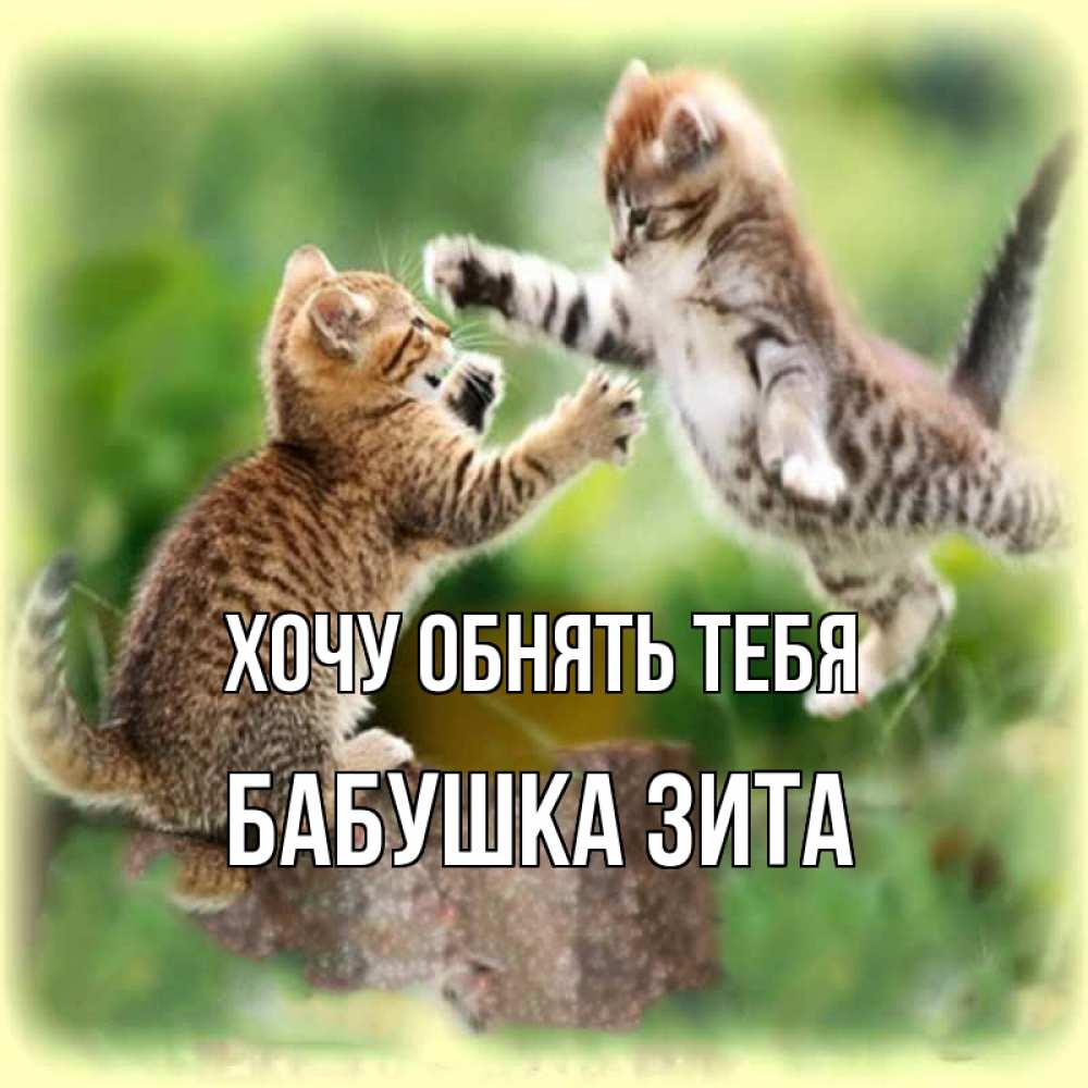 Открытка на каждый день с именем, Бабушка-Зита Хочу обнять тебя игры котят Прикольная открытка с пожеланием онлайн скачать бесплатно 