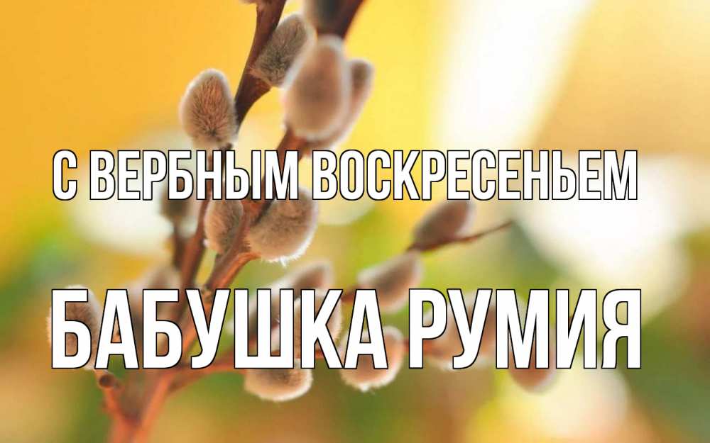Открытка на каждый день с именем, Бабушка-Румия С вербным воскресеньем верба Прикольная открытка с пожеланием онлайн скачать бесплатно 