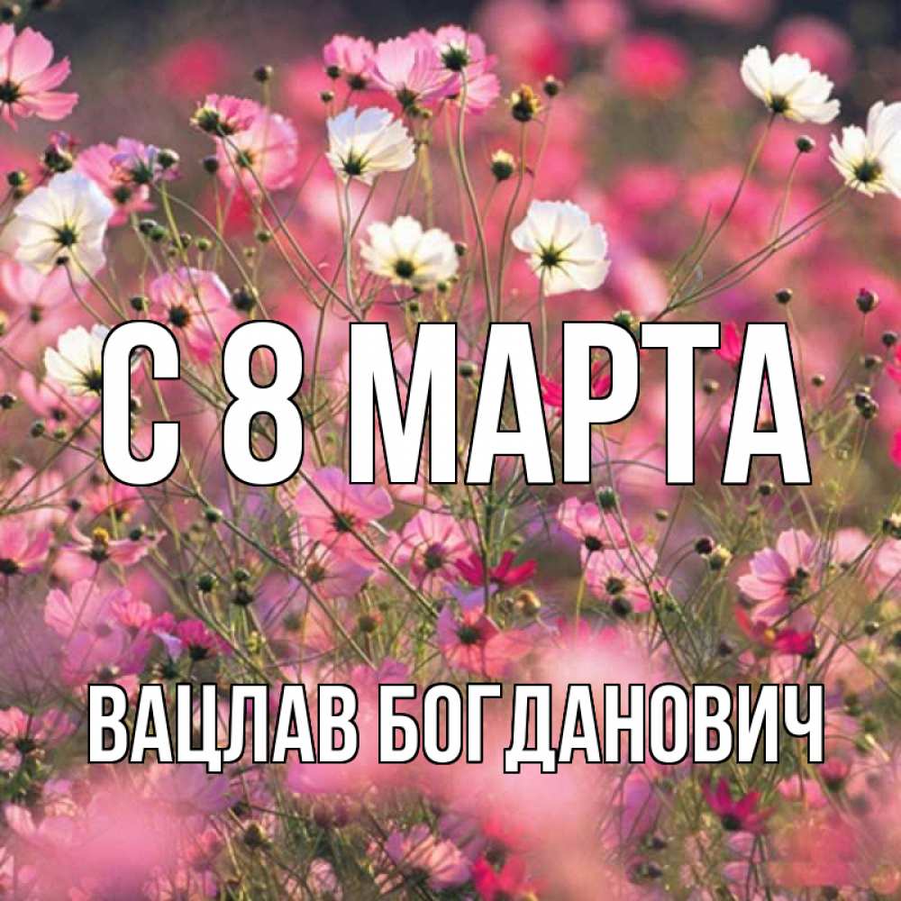 Открытка с именем, Вацлав Богданович, С 8 МАРТА