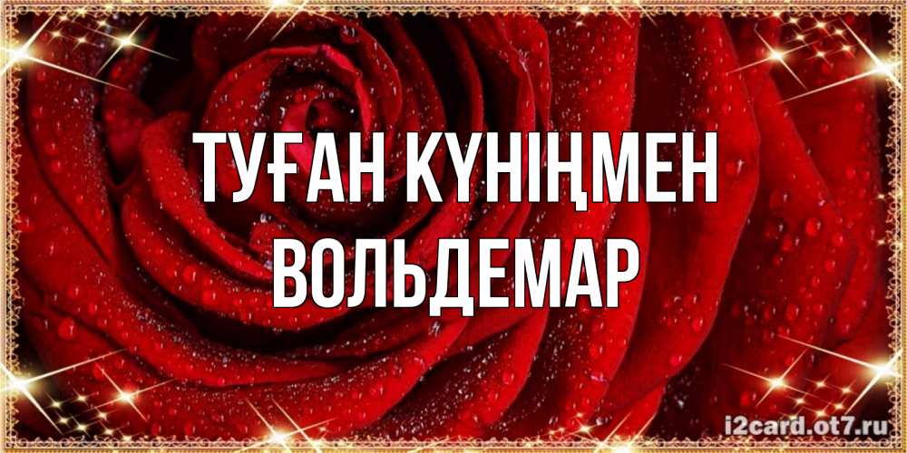 Открытка на каждый день с именем, Вольдемар Туған күніңмен роса на розе блестящая в лучах солнца Прикольная открытка с пожеланием онлайн скачать бесплатно 
