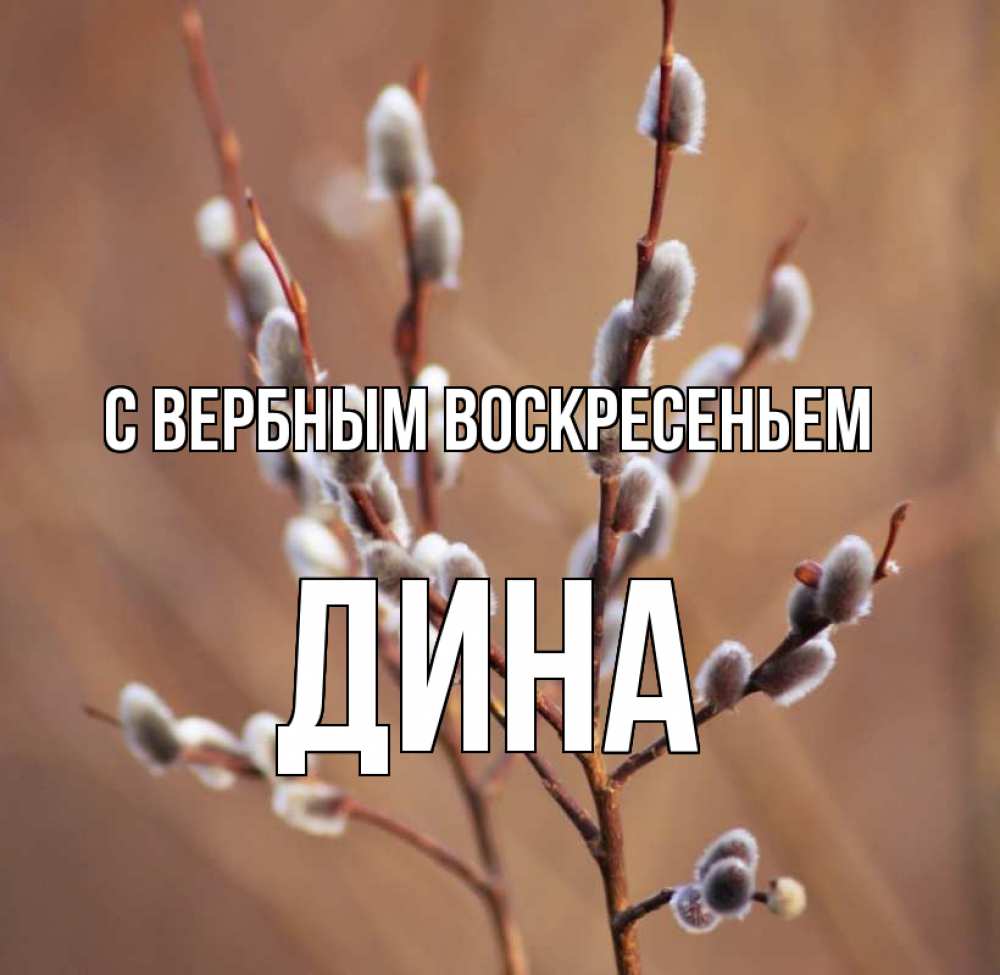 Открытка на каждый день с именем, Дина С вербным воскресеньем верба Прикольная открытка с пожеланием онлайн скачать бесплатно 