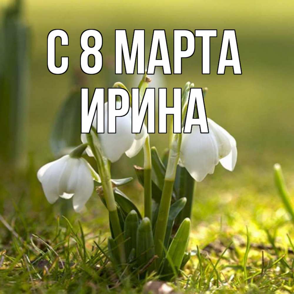 Открытка на каждый день с именем, Ирина С 8 марта ранние цветы 2 Прикольная открытка с пожеланием онлайн скачать бесплатно 