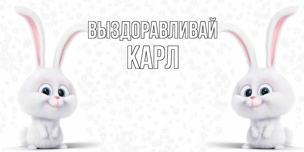 Открытка на каждый день с именем, Карл Выздоравливай не болей с зайцем Прикольная открытка с пожеланием онлайн скачать бесплатно 