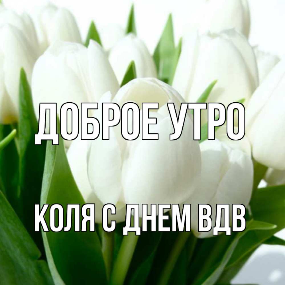 Открытка на каждый день с именем, Коля-с-Днем-ВДВ Доброе утро открытки на каждый день по именам Прикольная открытка с пожеланием онлайн скачать бесплатно 