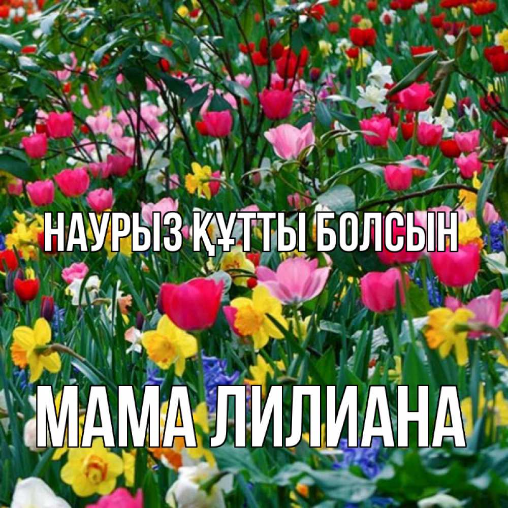 Открытка на каждый день с именем, Мама-Лилиана Наурыз құтты болсын с наурызом поздравления для женщины Прикольная открытка с пожеланием онлайн скачать бесплатно 