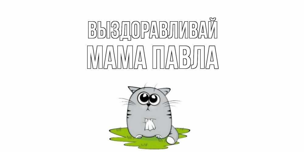 Открытка на каждый день с именем, Мама-Павла Выздоравливай кот и открытки про выздоровление Прикольная открытка с пожеланием онлайн скачать бесплатно 