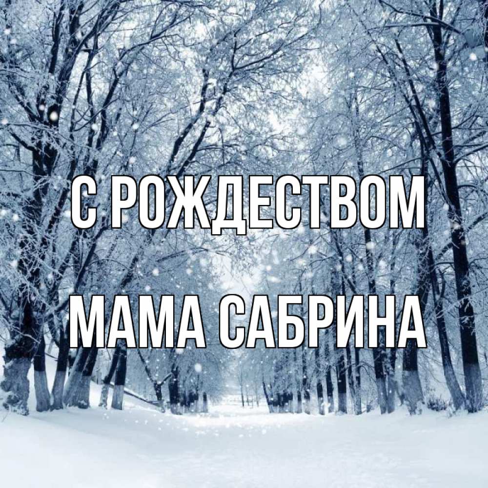 Открытка на каждый день с именем, Мама-Сабрина С рождеством снег, лес, парк Прикольная открытка с пожеланием онлайн скачать бесплатно 