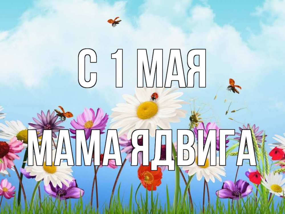 Открытка на каждый день с именем, Мама-Ядвига С 1 мая С 1 мая Прикольная открытка с пожеланием онлайн скачать бесплатно 