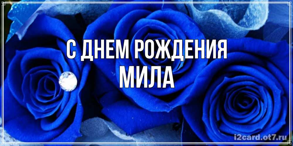 Открытка на каждый день с именем, Мила С днем рождения синие розы в росе Прикольная открытка с пожеланием онлайн скачать бесплатно 