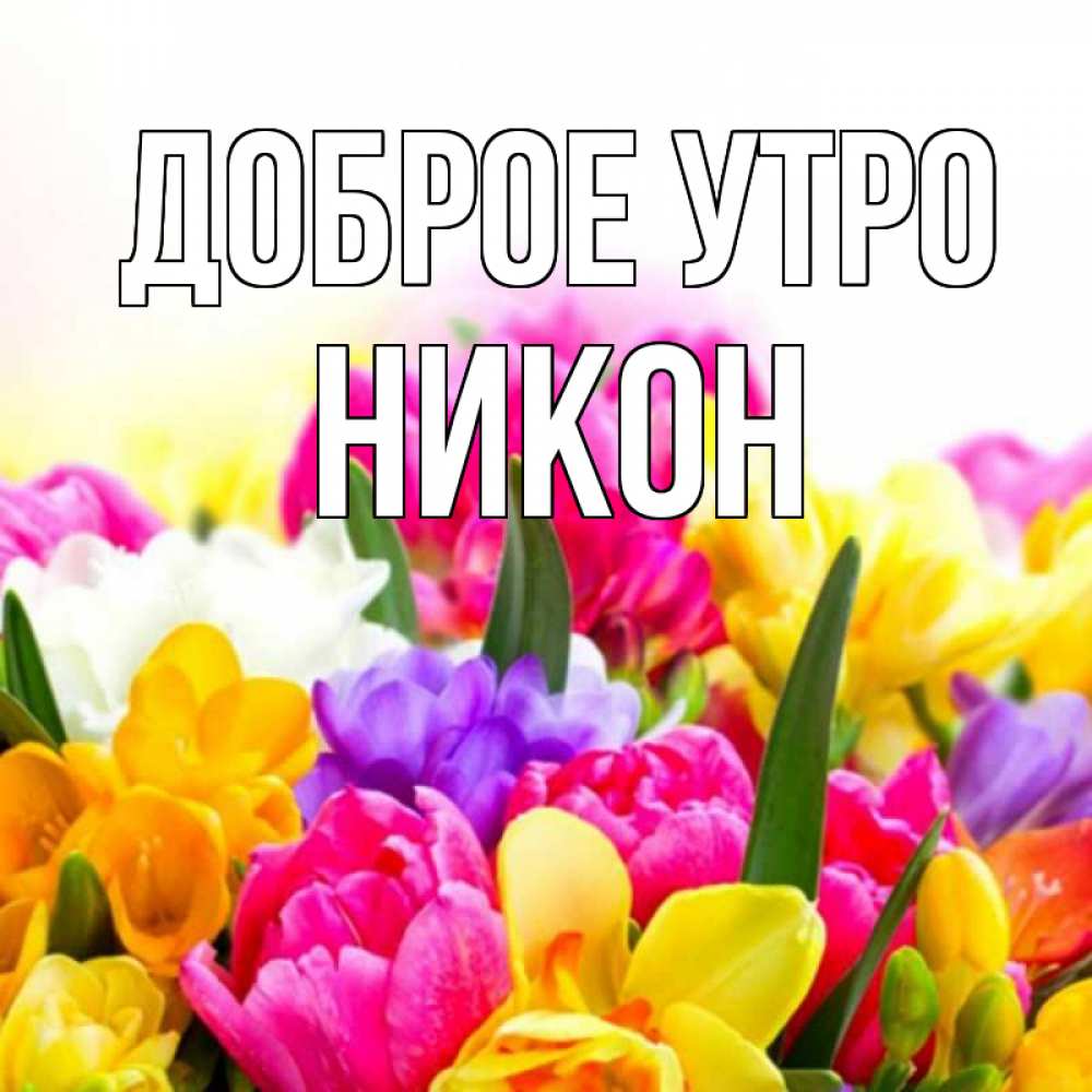 Открытка на каждый день с именем, Никон Доброе утро создать открытку со свое подписью Прикольная открытка с пожеланием онлайн скачать бесплатно 