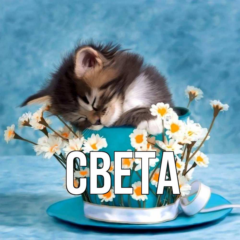 Открытка на каждый день с именем, Света Главная котенок спит в кружке с блюдцем Прикольная открытка с пожеланием онлайн скачать бесплатно 