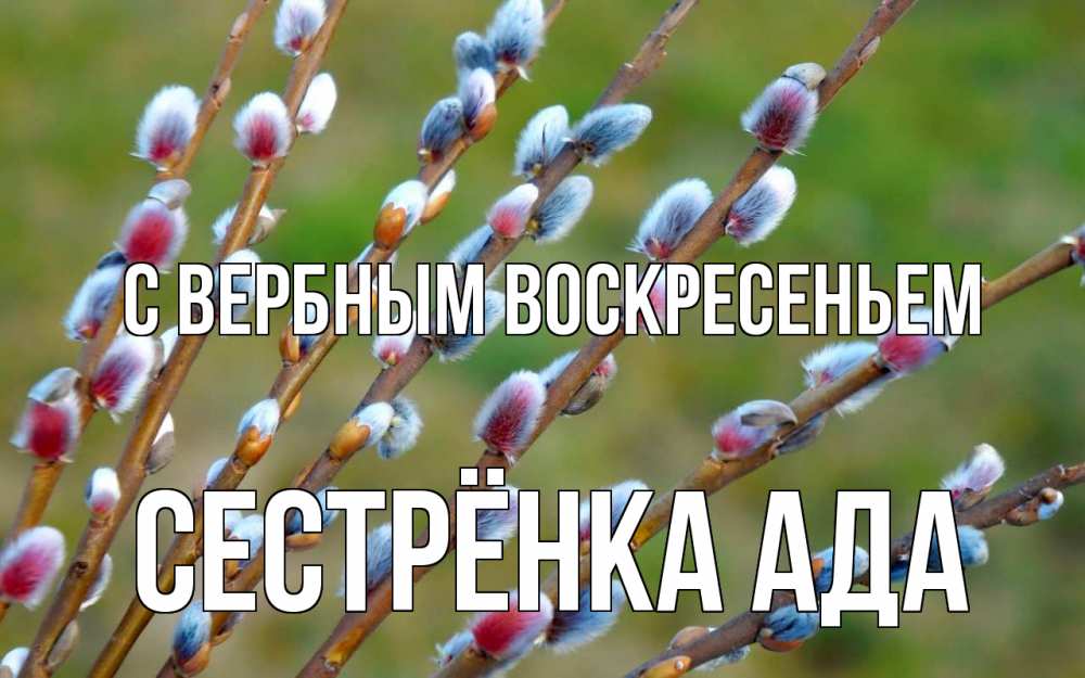 Открытка на каждый день с именем, Сестрёнка-Ада С вербным воскресеньем верба Прикольная открытка с пожеланием онлайн скачать бесплатно 