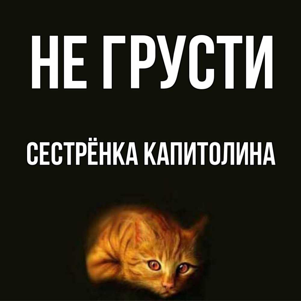 Открытка на каждый день с именем, Сестрёнка-Капитолина Не грусти лежащий кот в темноте Прикольная открытка с пожеланием онлайн скачать бесплатно 