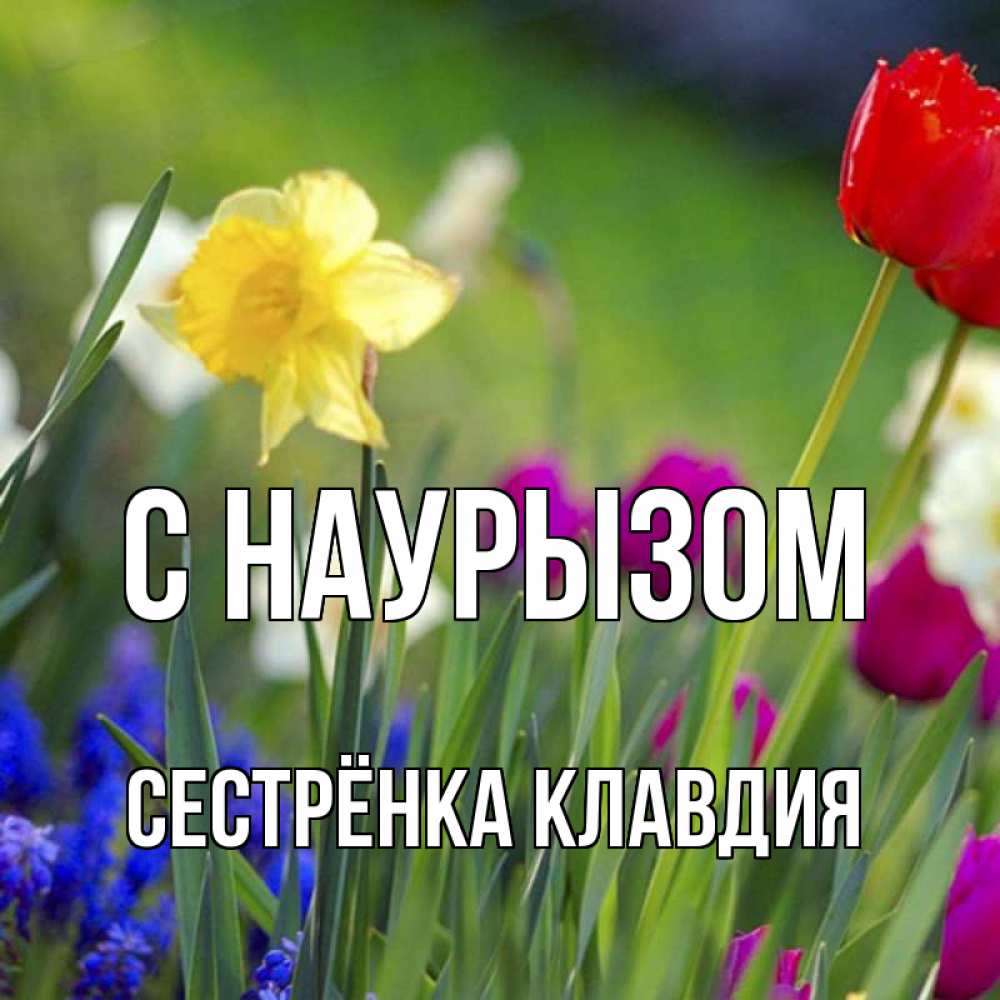 Открытка на каждый день с именем, Сестрёнка-Клавдия С наурызом праздник весны наурыз 3 Прикольная открытка с пожеланием онлайн скачать бесплатно 