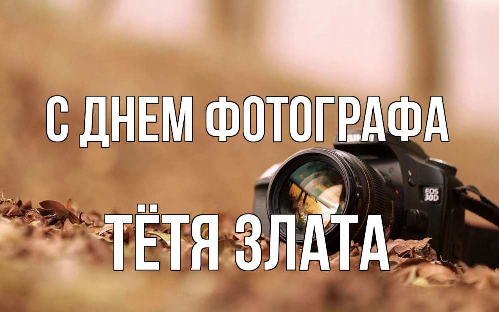 Открытка на каждый день с именем, Тётя-Злата С днем фотографа с днем фотографа Прикольная открытка с пожеланием онлайн скачать бесплатно 