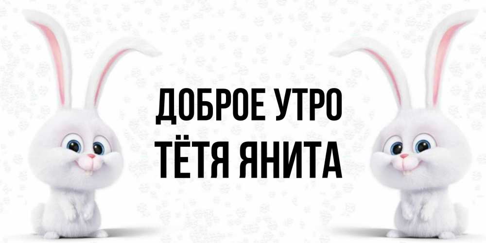 Открытка на каждый день с именем, Тётя-Янита Доброе утро кролики с длинными ушками Прикольная открытка с пожеланием онлайн скачать бесплатно 