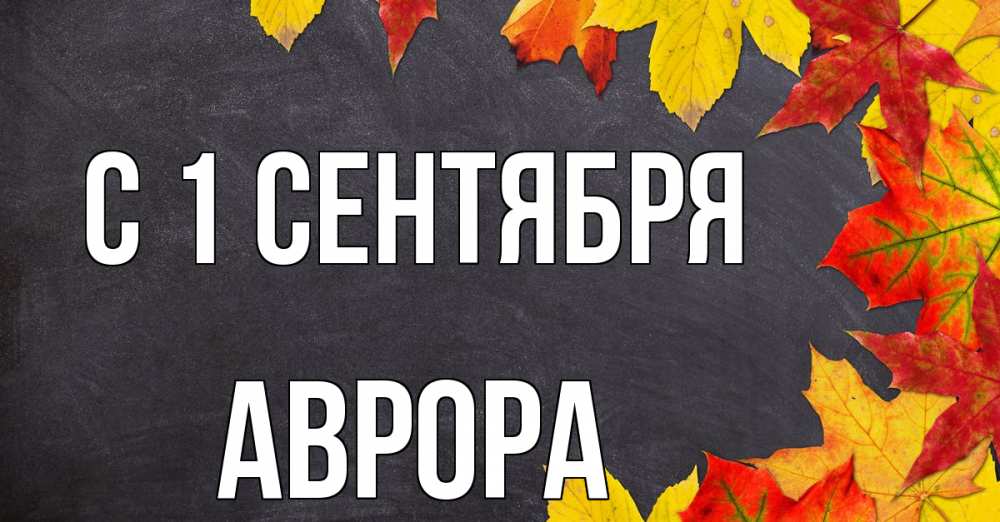 Открытка на каждый день с именем, Аврора С 1 сентября с днем знаний Прикольная открытка с пожеланием онлайн скачать бесплатно 