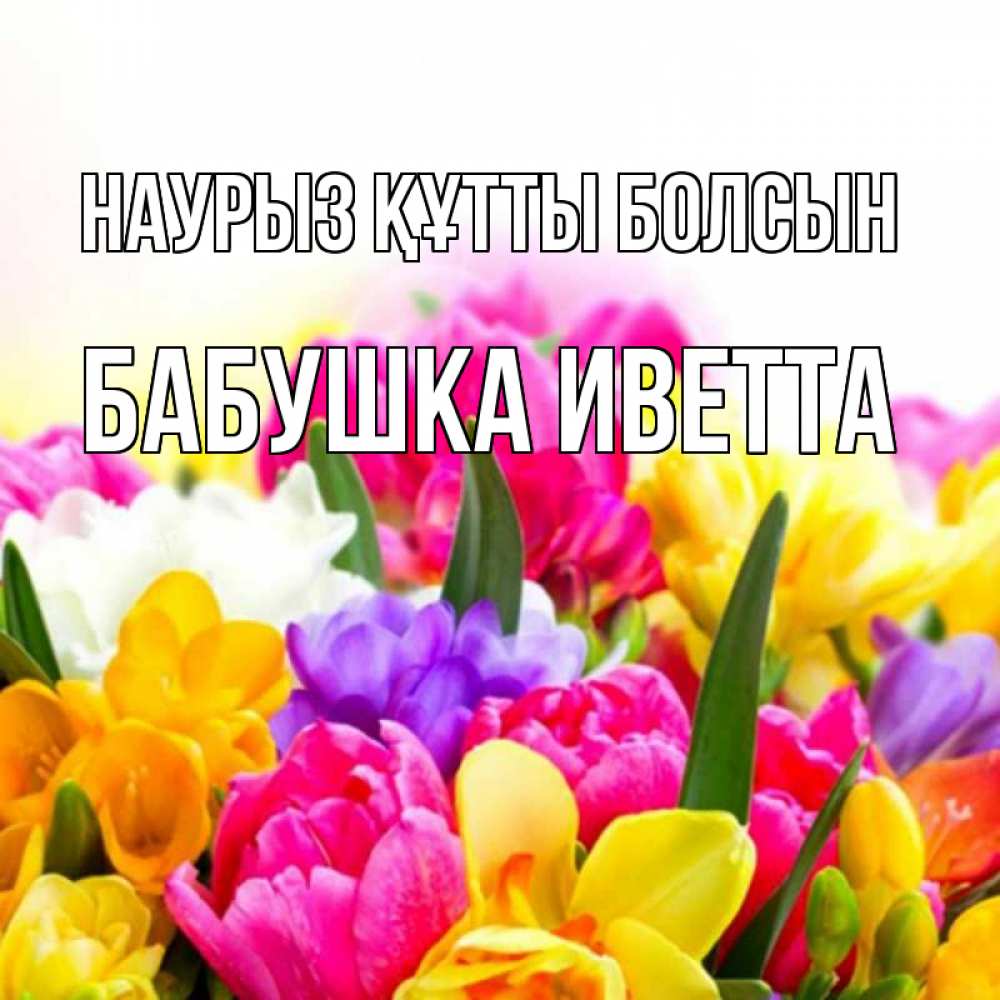 Открытка на каждый день с именем, Бабушка-Иветта Наурыз құтты болсын тюльпаны Прикольная открытка с пожеланием онлайн скачать бесплатно 
