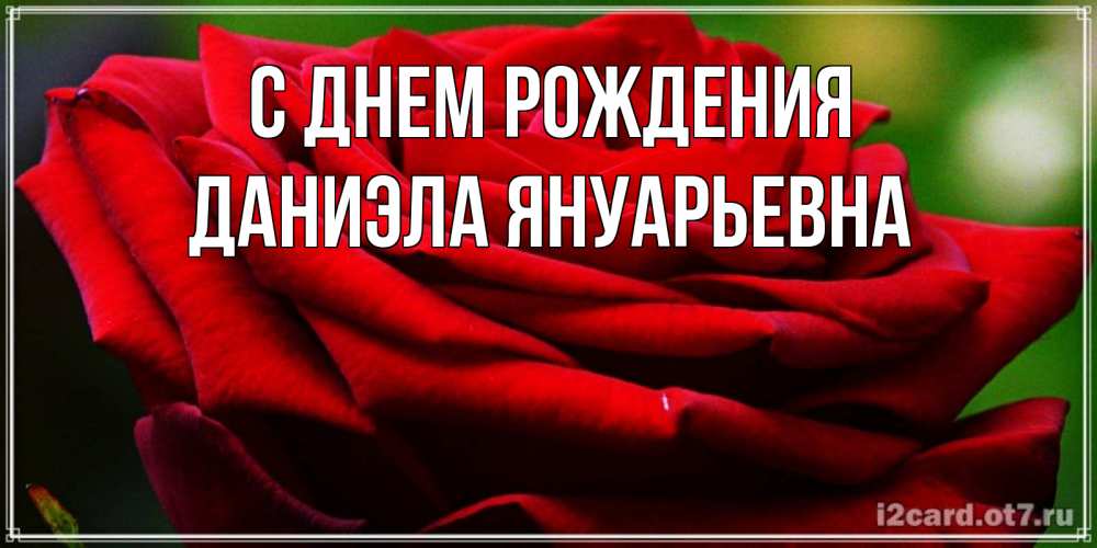 Открытка на каждый день с именем, Даниэла-Януарьевна С днем рождения розочка очень красивая Прикольная открытка с пожеланием онлайн скачать бесплатно 