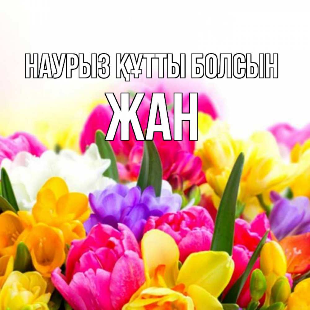 Открытка на каждый день с именем, Жан Наурыз құтты болсын тюльпаны Прикольная открытка с пожеланием онлайн скачать бесплатно 