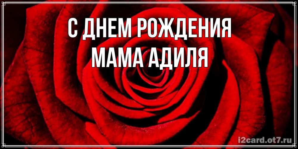 Открытка на каждый день с именем, Мама-Адиля С днем рождения алая роза Прикольная открытка с пожеланием онлайн скачать бесплатно 