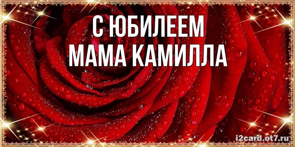 Открытка на каждый день с именем, Мама-Камилла С юбилеем роса на розе блестящая в лучах солнца Прикольная открытка с пожеланием онлайн скачать бесплатно 