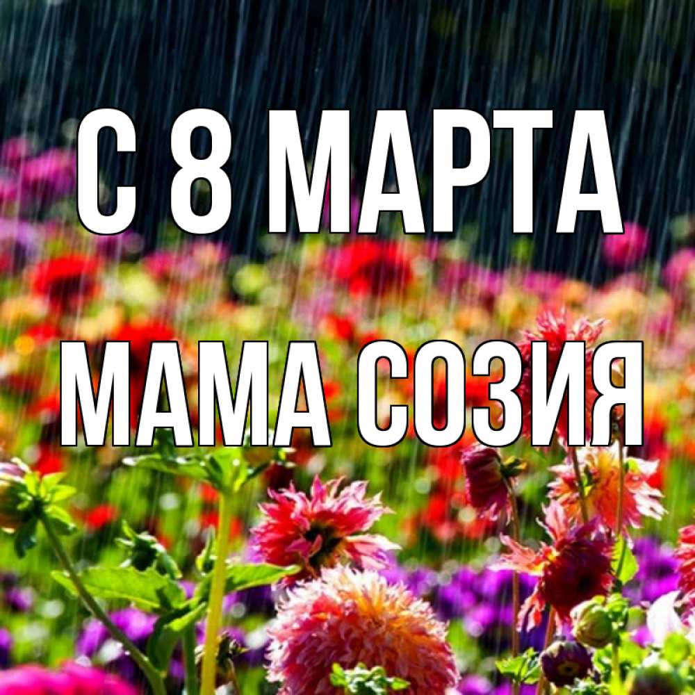 Открытка на каждый день с именем, Мама-Созия С 8 МАРТА цветы под дождиком к международному женскому дню Прикольная открытка с пожеланием онлайн скачать бесплатно 