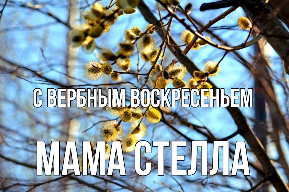 Открытка на каждый день с именем, Мама-Стелла С вербным воскресеньем верба Прикольная открытка с пожеланием онлайн скачать бесплатно 