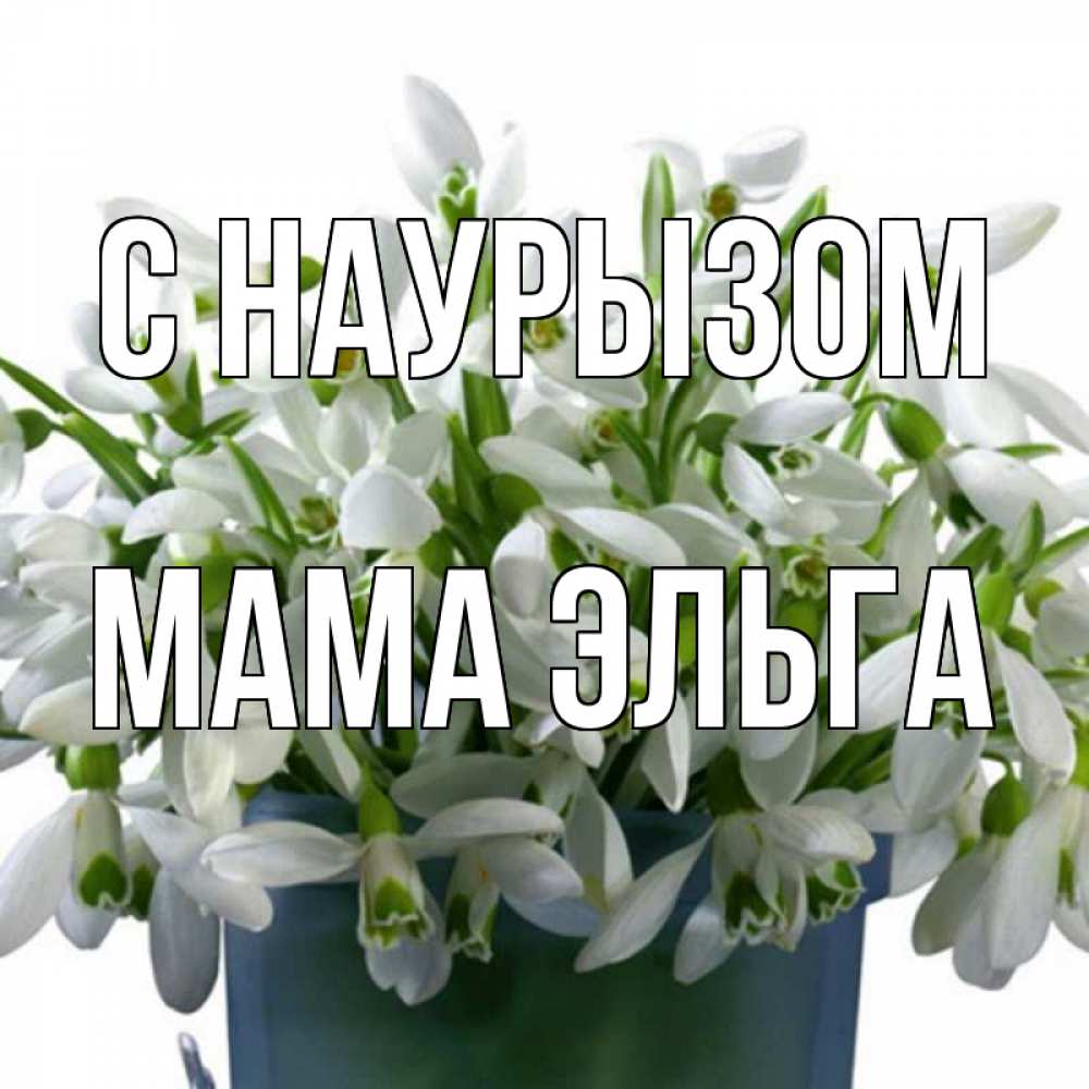 Открытка на каждый день с именем, Мама-Эльга С наурызом цветы к наурызу новый год в Казахстане Прикольная открытка с пожеланием онлайн скачать бесплатно 