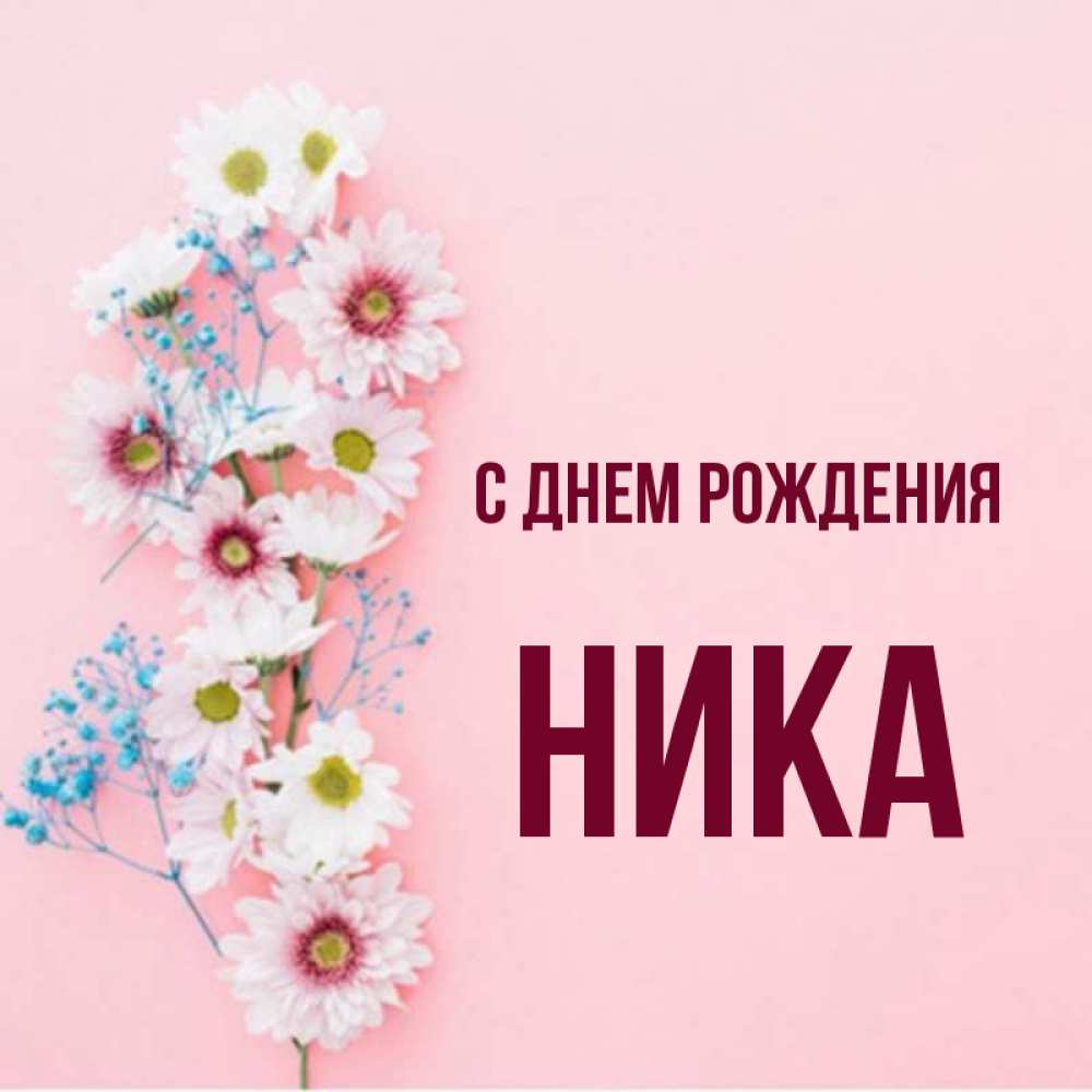 Открытка на каждый день с именем, Ника С днем рождения Родная моя с днем рождения тебя картинка с цветами белыми и голубыми Прикольная открытка с пожеланием онлайн скачать бесплатно 