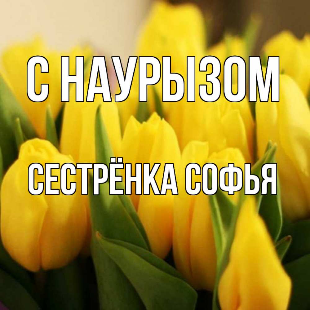 Открытка на каждый день с именем, Сестрёнка-Софья С наурызом цветы Прикольная открытка с пожеланием онлайн скачать бесплатно 
