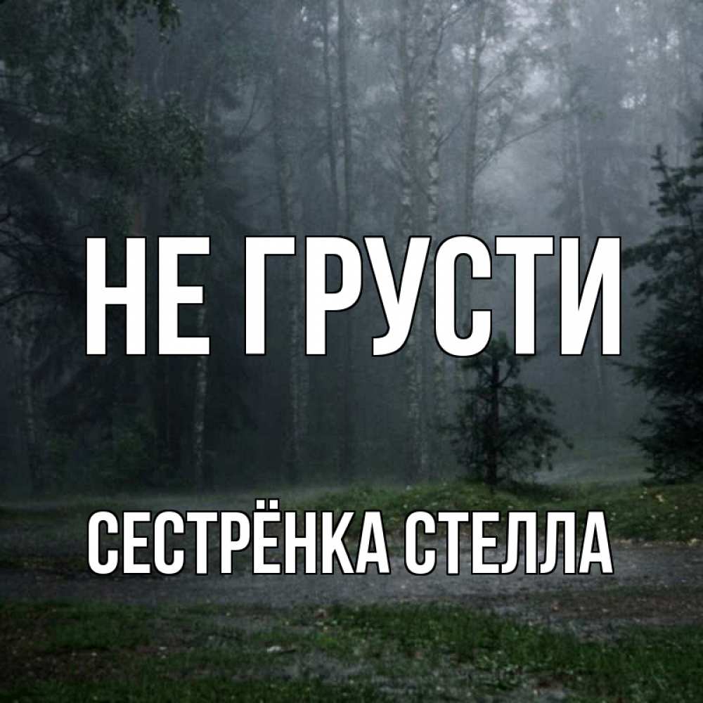 Открытка на каждый день с именем, Сестрёнка-Стелла Не грусти осень Прикольная открытка с пожеланием онлайн скачать бесплатно 