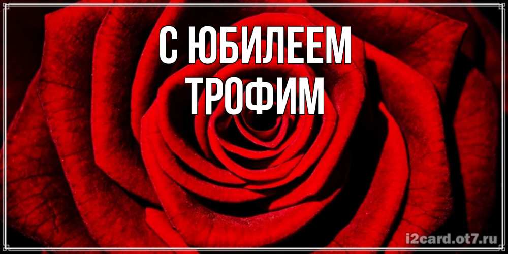 Открытка на каждый день с именем, Трофим С юбилеем алая роза Прикольная открытка с пожеланием онлайн скачать бесплатно 