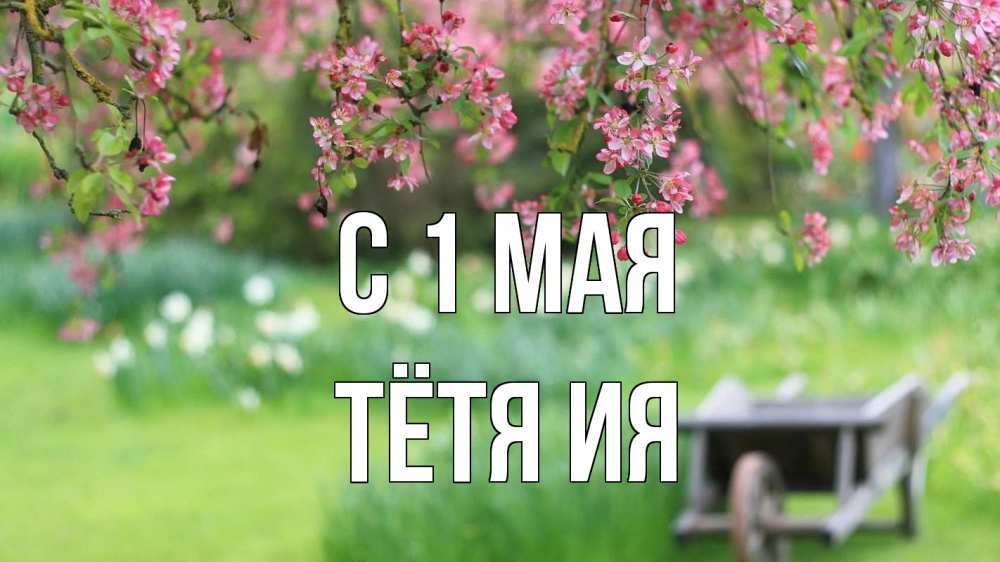 Открытка на каждый день с именем, Тётя-Ия С 1 мая С 1 мая Прикольная открытка с пожеланием онлайн скачать бесплатно 