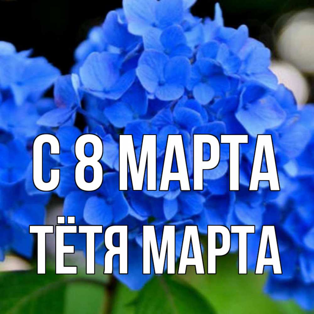 Открытка на каждый день с именем, Тётя-Марта С 8 марта синие цветы Прикольная открытка с пожеланием онлайн скачать бесплатно 