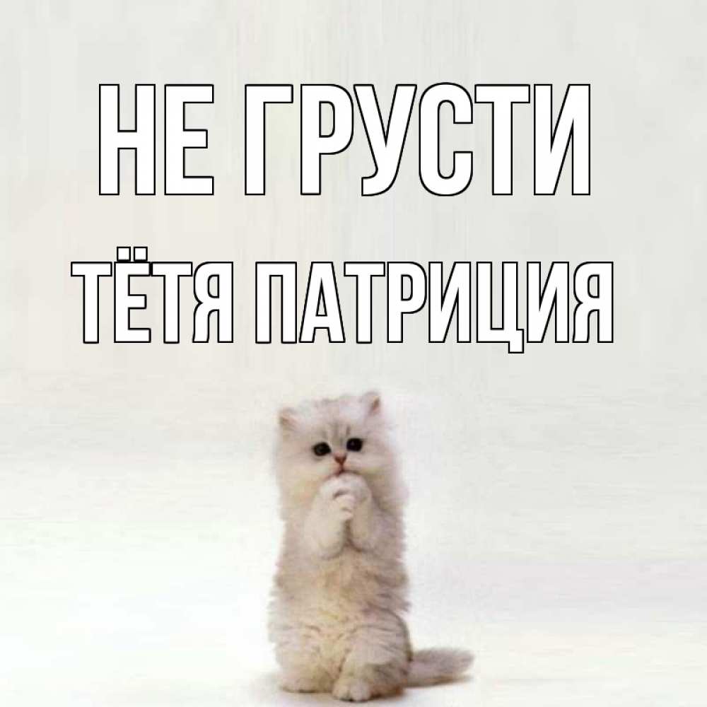 Открытка на каждый день с именем, Тётя-Патриция Не грусти грустный кот Прикольная открытка с пожеланием онлайн скачать бесплатно 