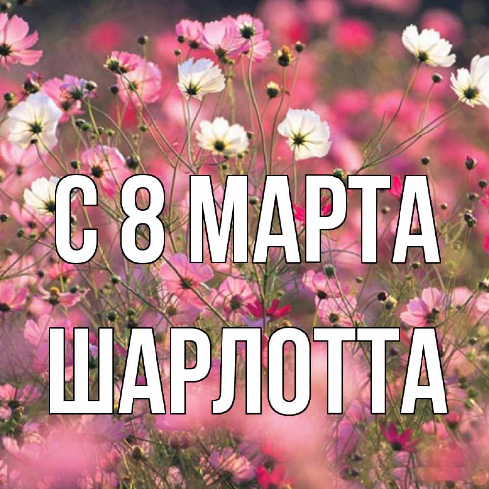 Открытка на каждый день с именем, Шарлотта С 8 МАРТА красиво 1 Прикольная открытка с пожеланием онлайн скачать бесплатно 