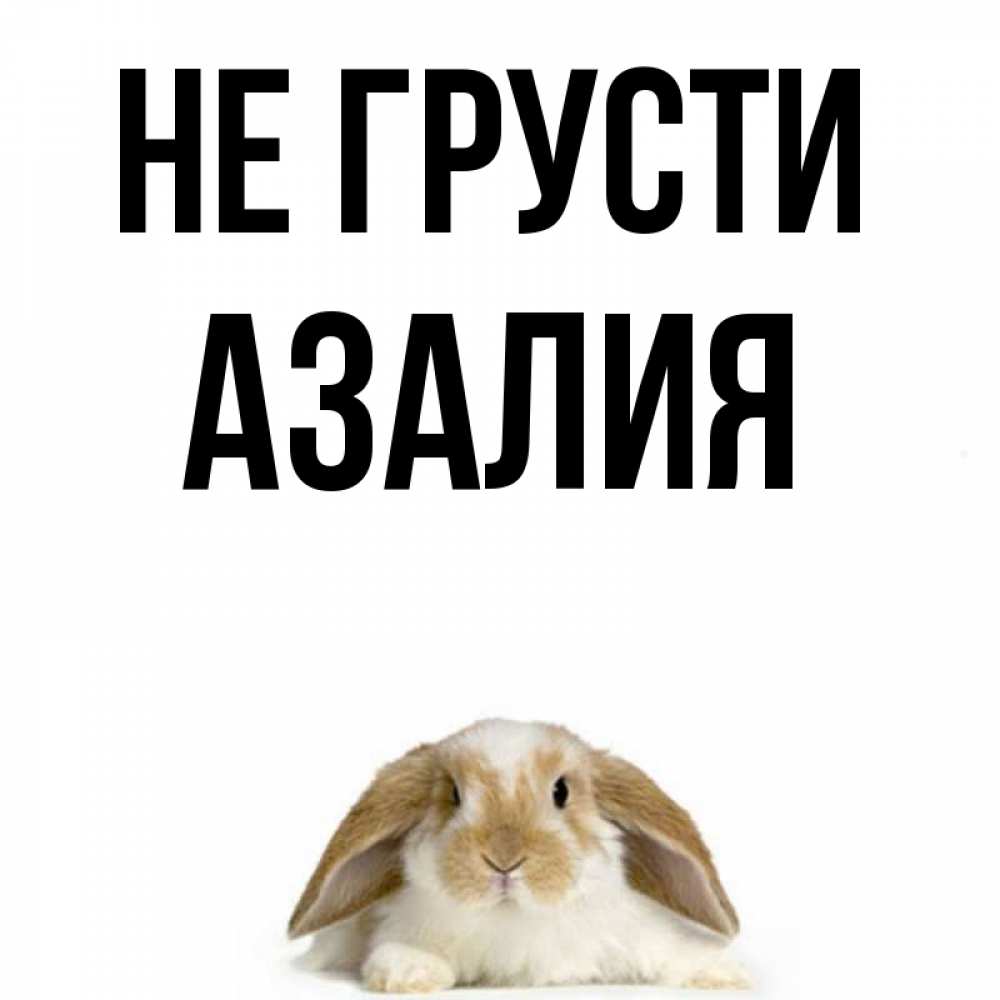 Открытка на каждый день с именем, Азалия Не грусти коричнево белый заяц с большими ушками Прикольная открытка с пожеланием онлайн скачать бесплатно 