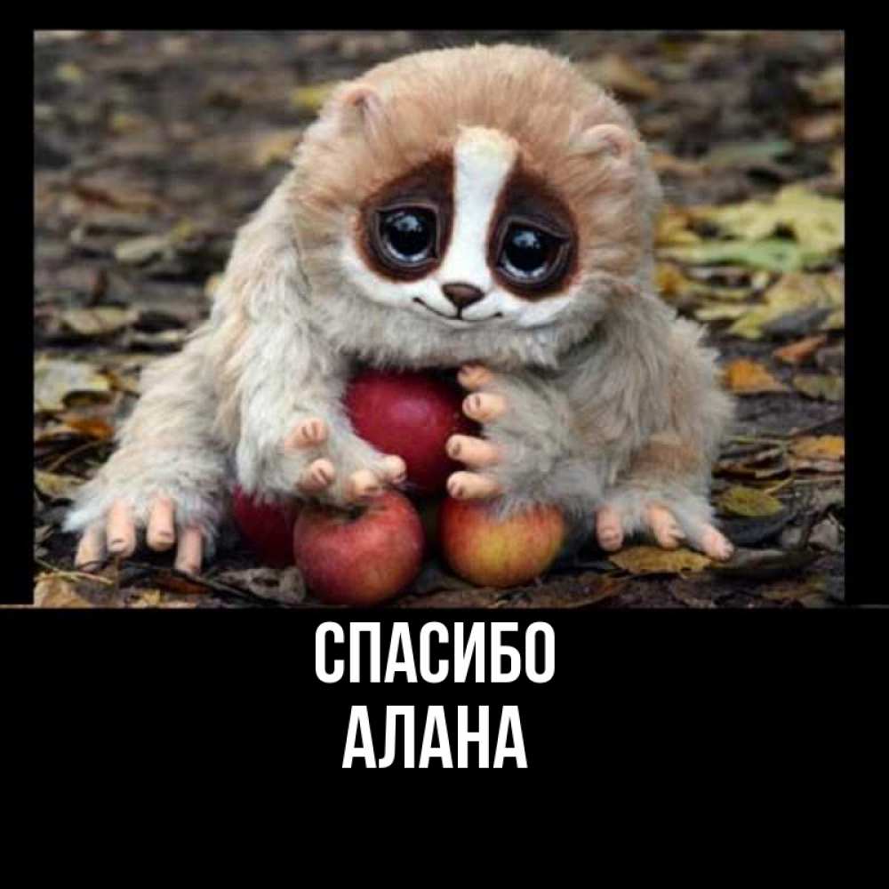 Открытка на каждый день с именем, Алана Спасибо прикольное животное Прикольная открытка с пожеланием онлайн скачать бесплатно 
